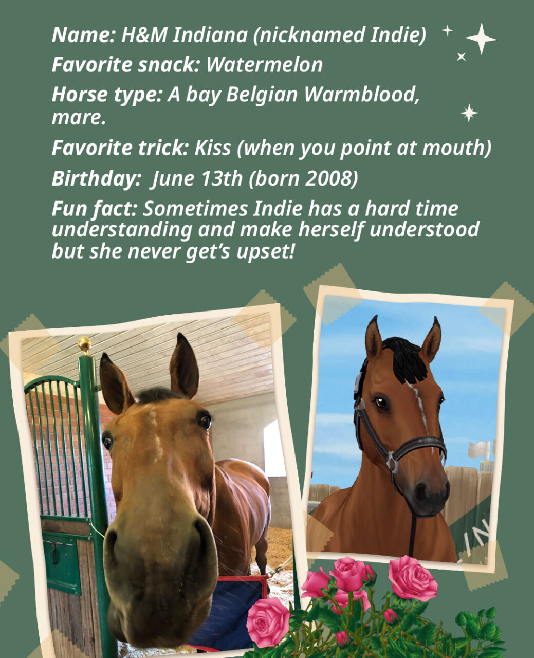 H&M Indiana in Star stable