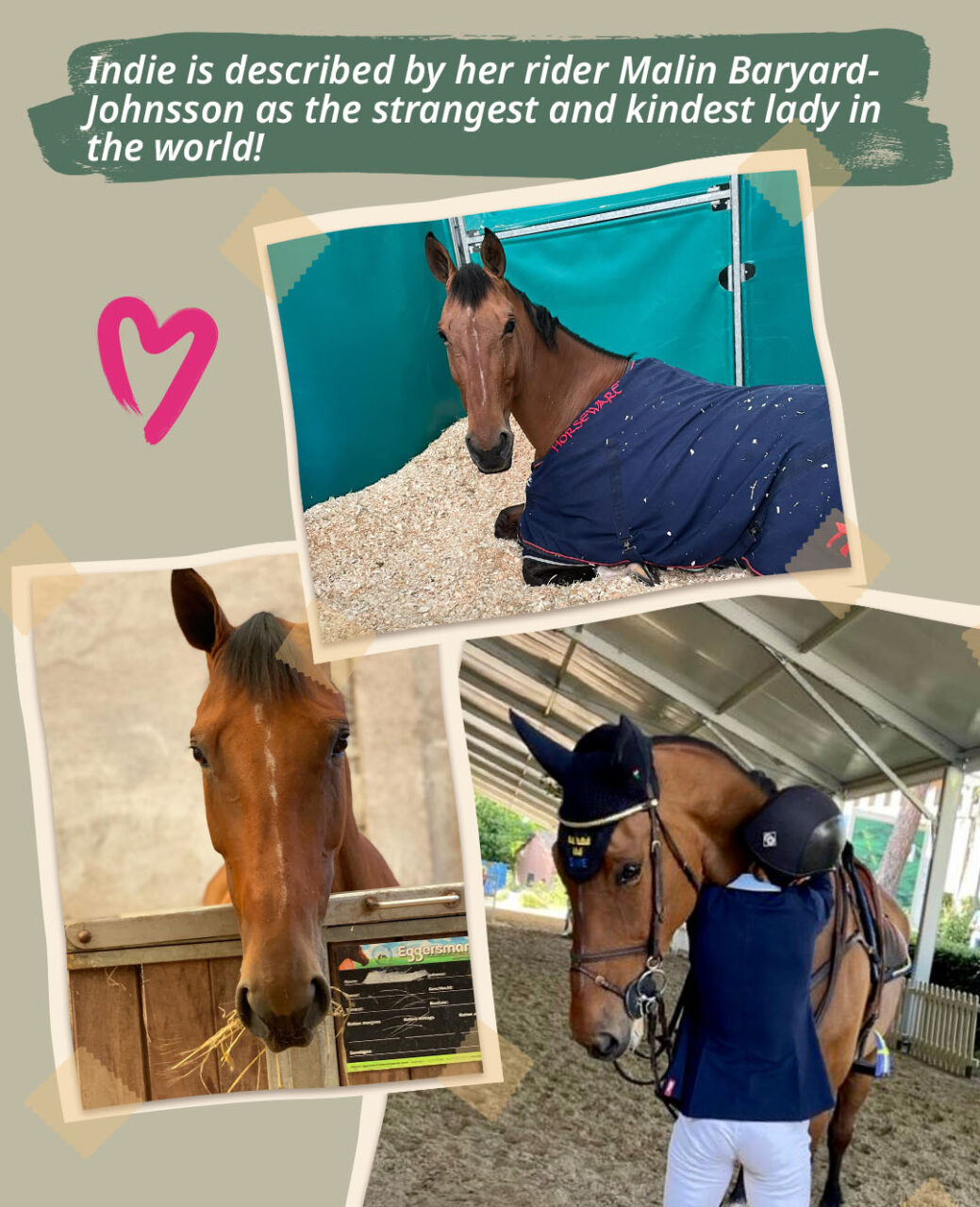 H&M Indiana in Star stable