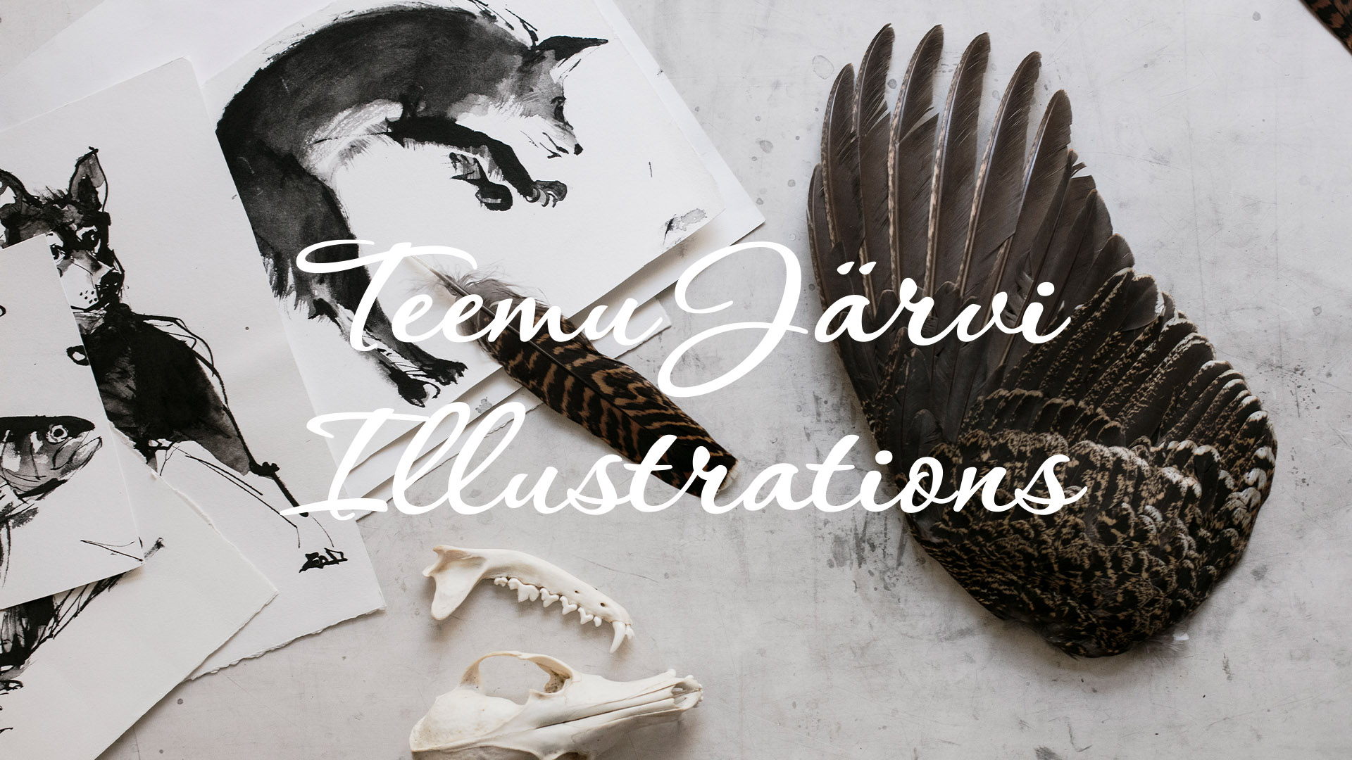 Photo of teemu järvi art