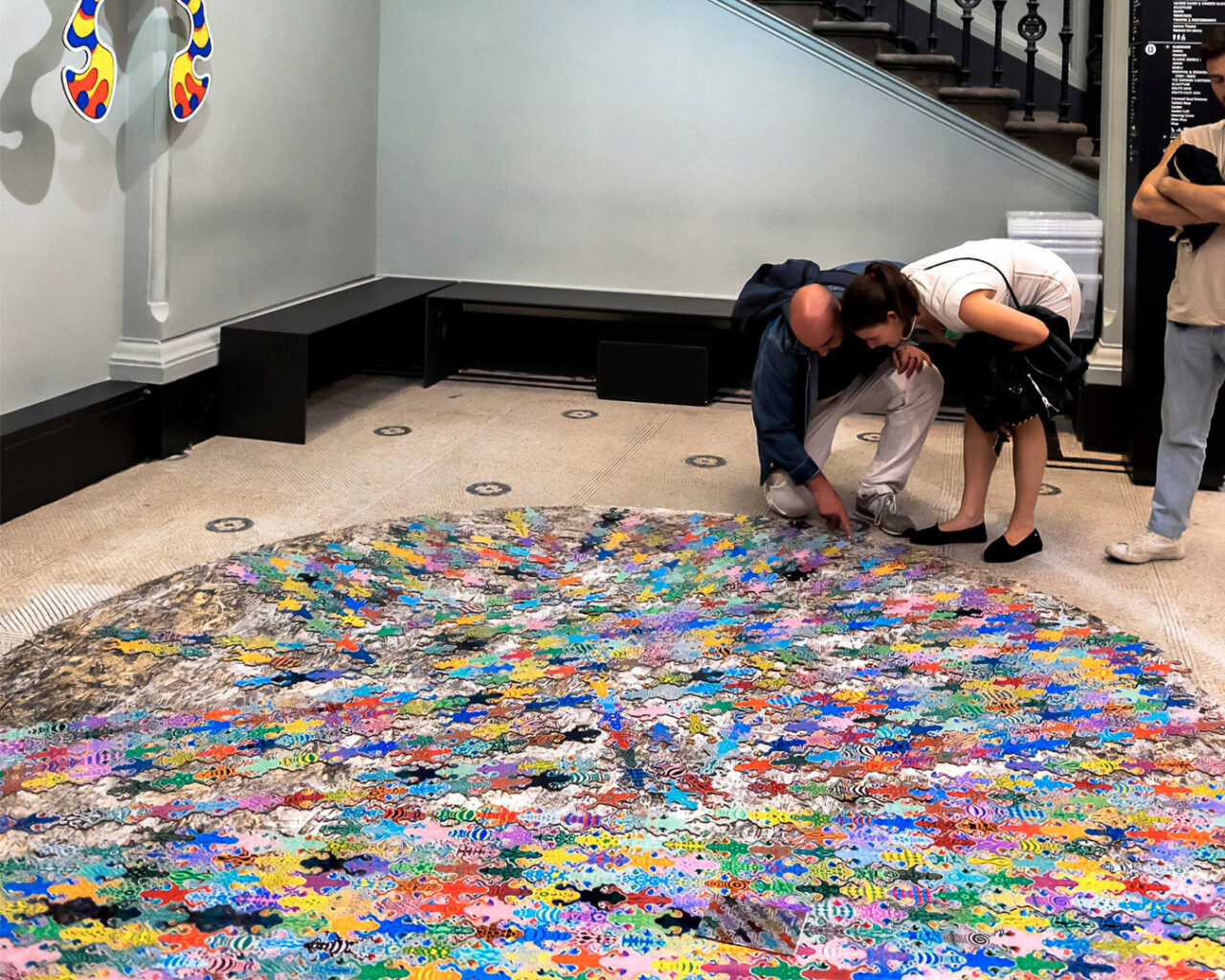 equi-ii frogs on floor